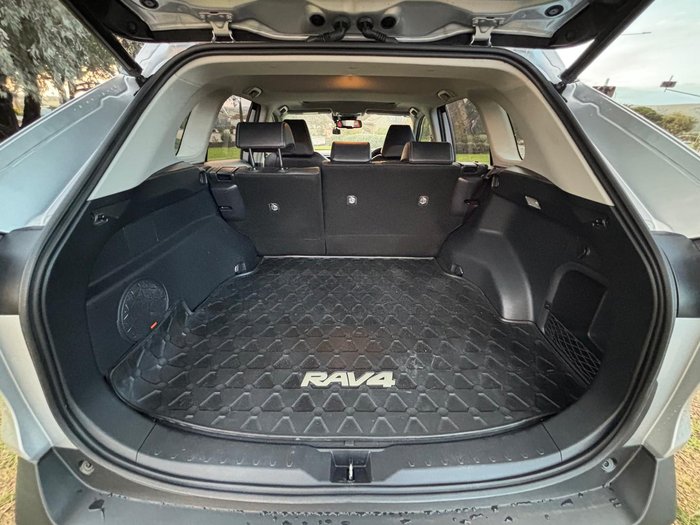 2019 Toyota RAV4 Cruiser