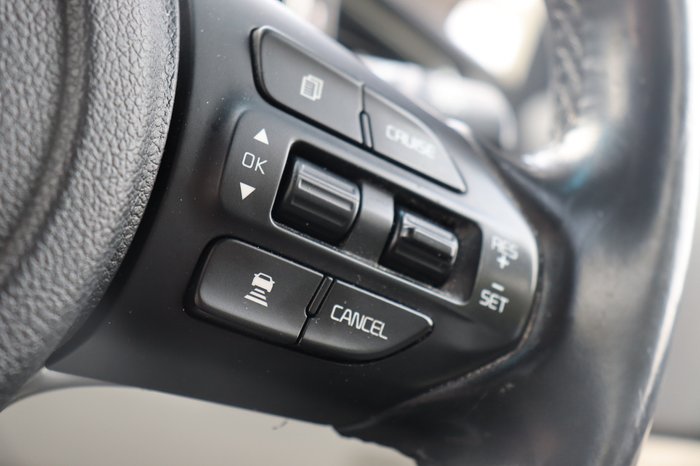 2019 Kia Carnival Platinum