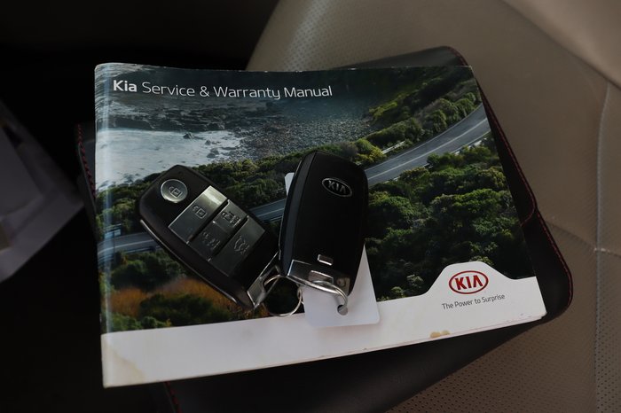 2019 Kia Carnival Platinum