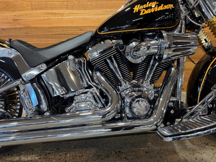 2015 Harley-davidson FLSTN SOFTAIL DELUXE Black
