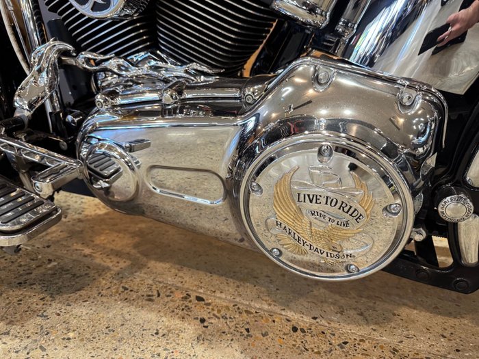 2015 Harley-davidson FLSTN SOFTAIL DELUXE Black