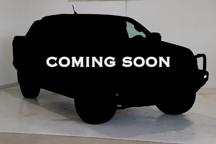 2021 GWM Ute Cannon-L