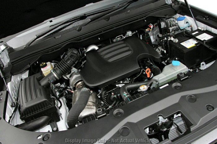 2025 GWM Cannon Premium