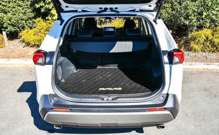 2022 Toyota RAV4 Cruiser