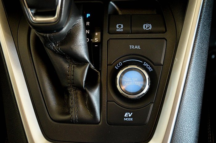 2022 Toyota RAV4 Cruiser