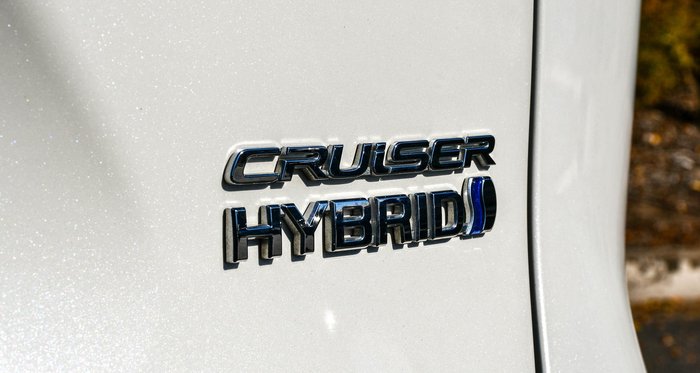 2022 Toyota RAV4 Cruiser