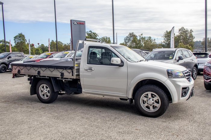 2019 Great Wall Steed