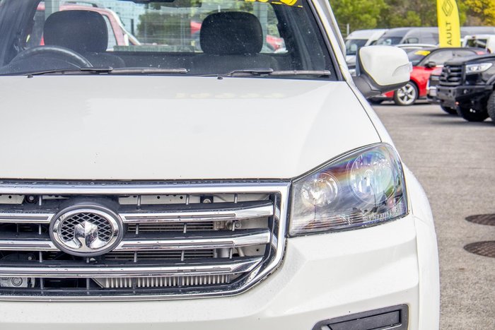 2019 Great Wall Steed