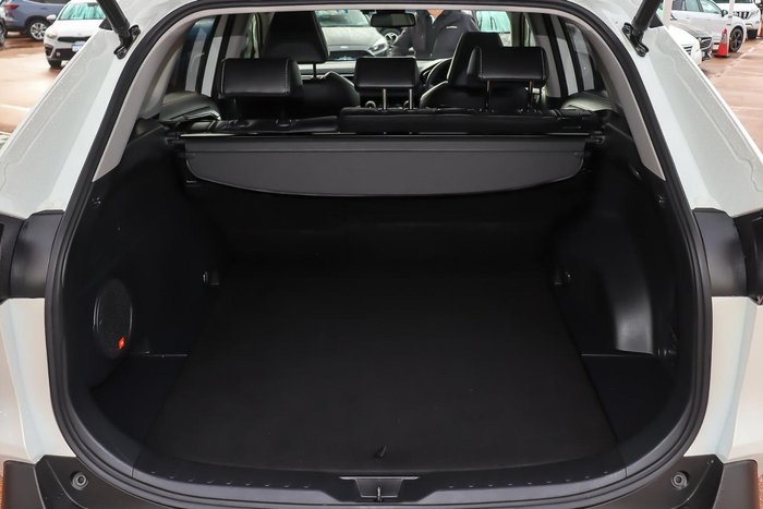 2020 Toyota RAV4 Cruiser