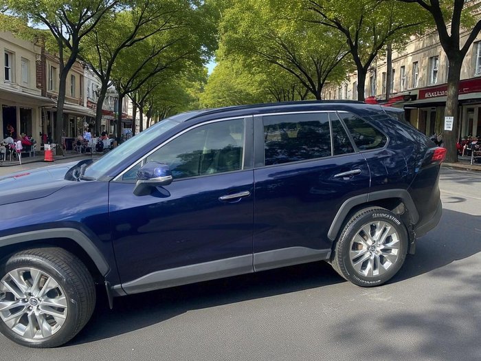 2019 Toyota RAV4 Cruiser