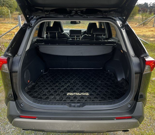 2021 Toyota RAV4 Cruiser