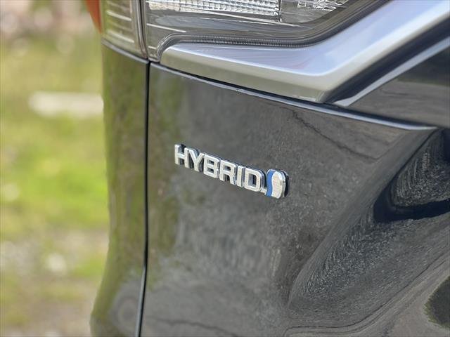 2021 Toyota RAV4 Cruiser