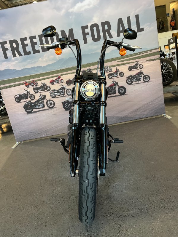 2024 Harley-davidson FXBBS STREET BOB (114) Vivid Black