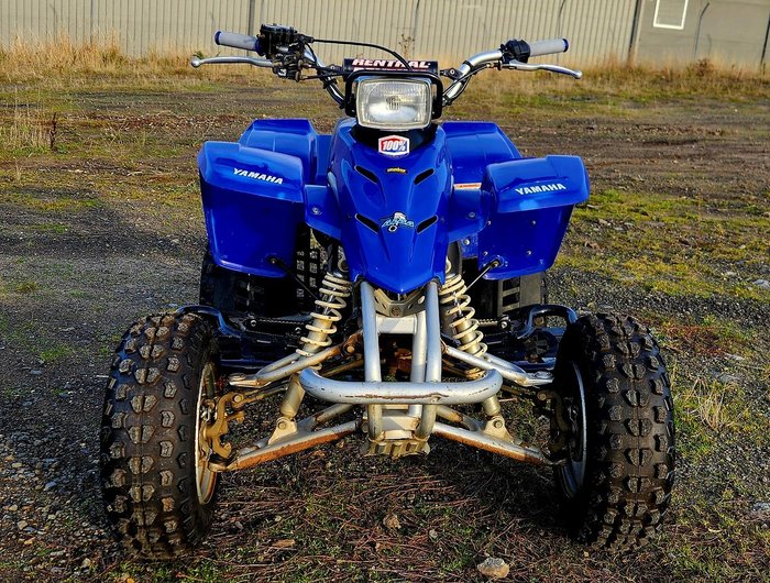 2002 Yamaha Blaster (YFS200) Blaster Blue