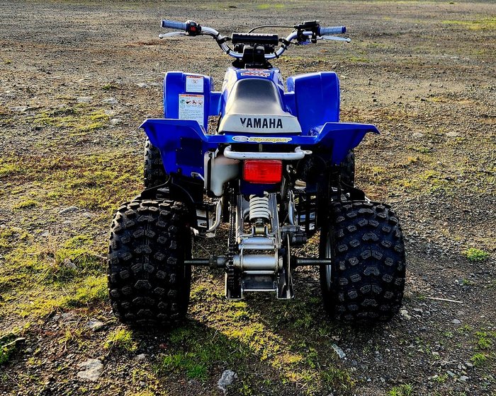 2002 Yamaha Blaster (YFS200) Blaster Blue