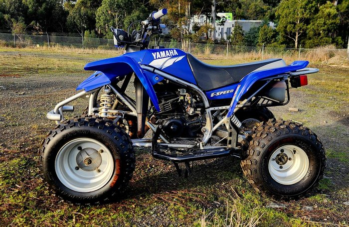 2002 Yamaha Blaster (YFS200) Blaster Blue