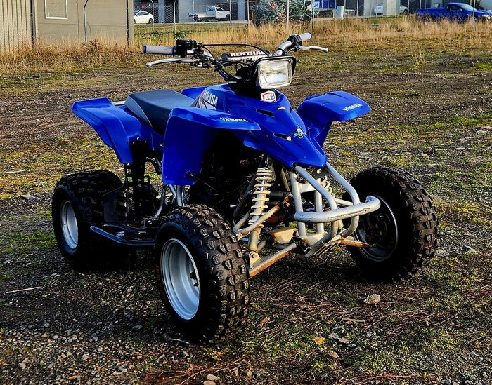 2002 Yamaha Blaster (YFS200) Blaster Blue