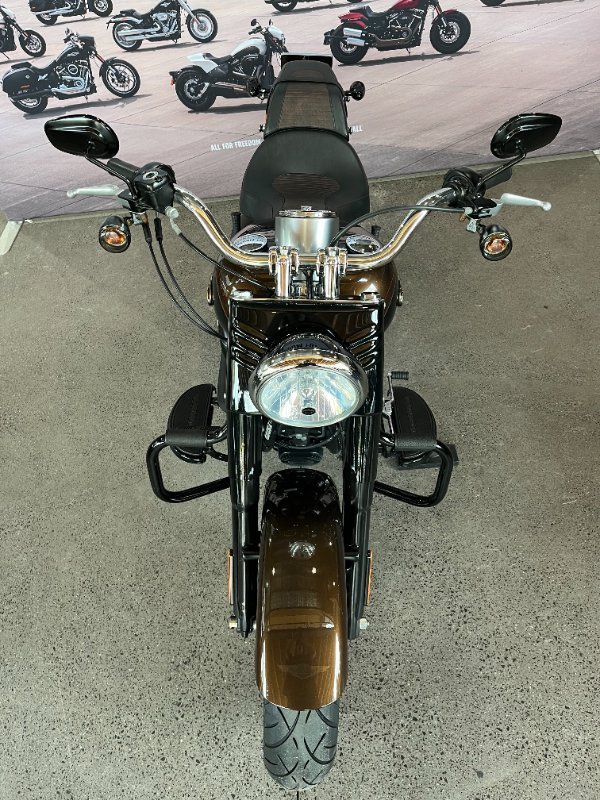 2013 Harley-davidson FLSTFB FAT BOY LO 110th ANN BRONZE / ANV BLACK