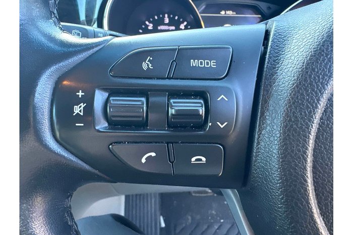 2019 Kia Carnival Platinum