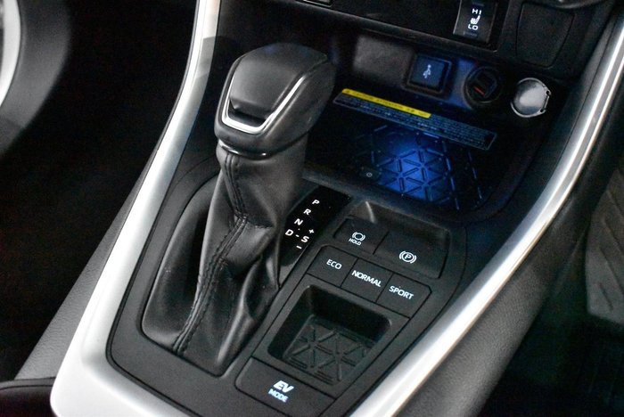 2020 Toyota RAV4 Cruiser