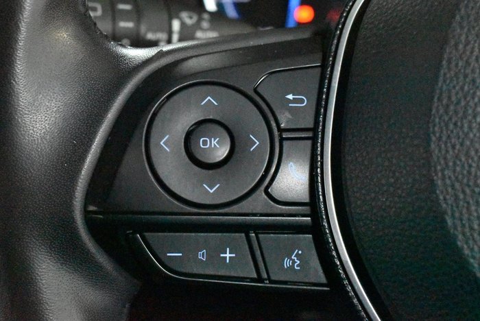 2020 Toyota RAV4 Cruiser