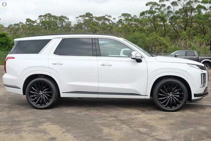 2024 Hyundai Palisade Calligraphy Black Ink