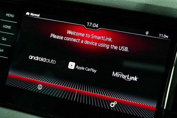 2019 SKODA Karoq 110TSI