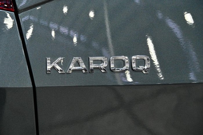 2019 SKODA Karoq 110TSI