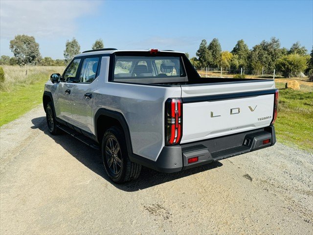 2025 LDV TERRON 9 