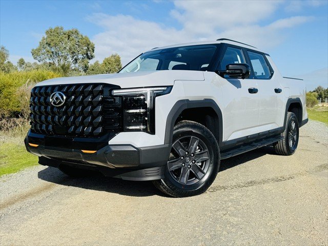 2025 LDV TERRON 9 