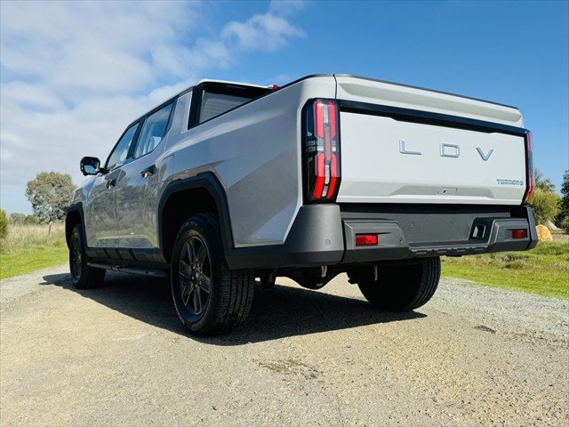 2025 LDV TERRON 9 