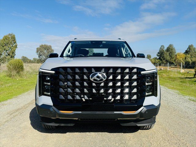2025 LDV TERRON 9 