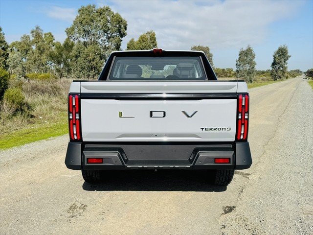 2025 LDV TERRON 9 