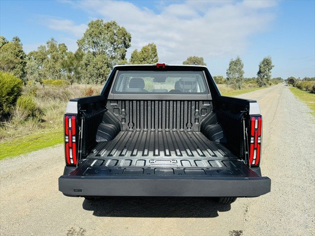 2025 LDV TERRON 9 