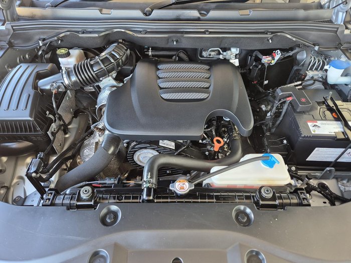 2022 GWM Ute Cannon-X