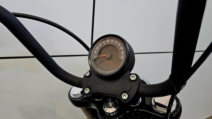 2025 Harley-Davidson Street Bob 117 (FXBB) Softail