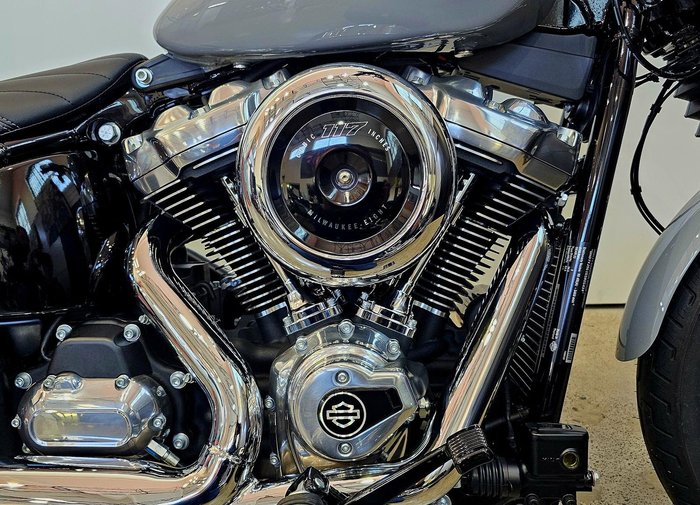 2025 Harley-Davidson Street Bob 117 (FXBB) Softail