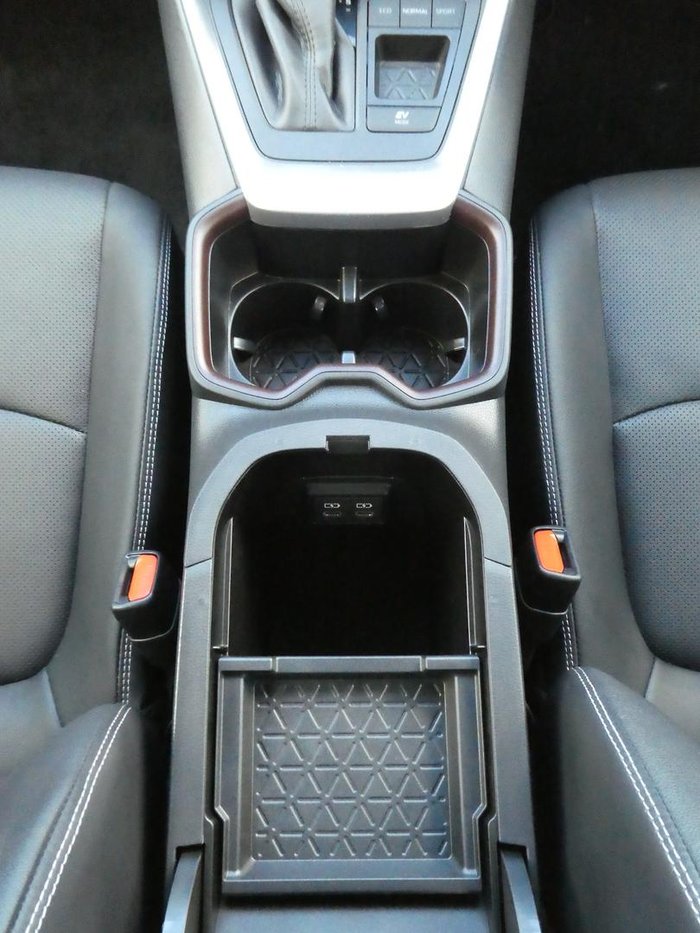 2024 Toyota RAV4 Cruiser