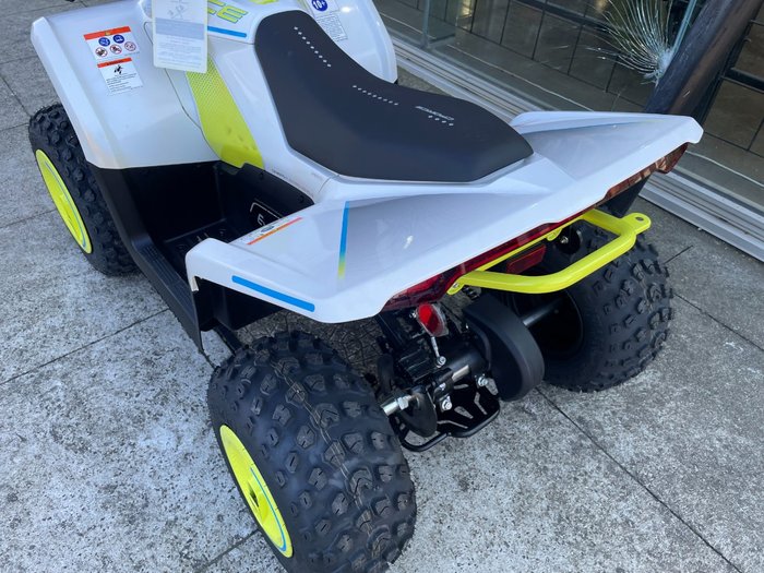 2022 CFMOTO C FORCE EV110