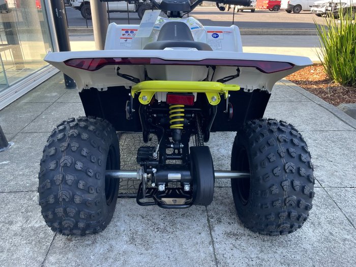 2022 CFMOTO C FORCE EV110