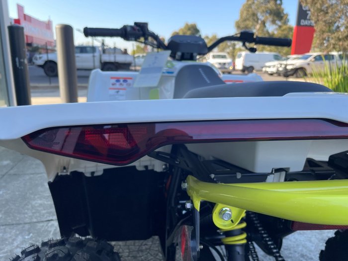2022 CFMOTO C FORCE EV110