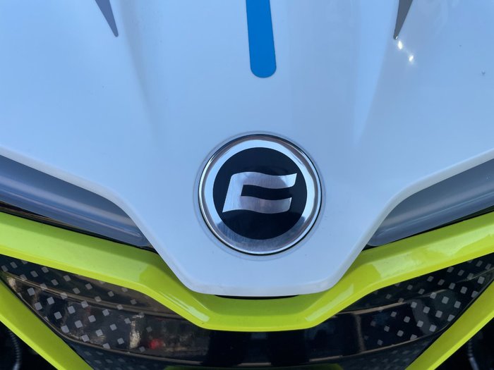 2022 CFMOTO C FORCE EV110