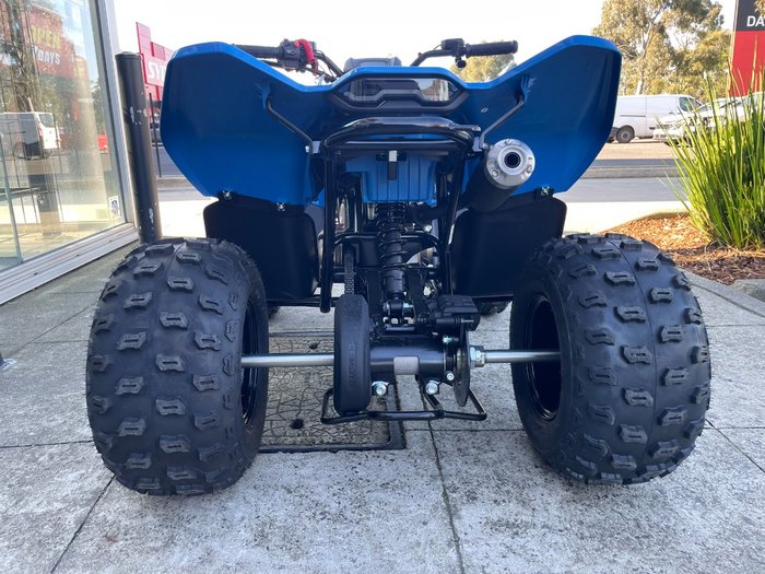 2025 CFMOTO C FORCE 110 SE BLUE