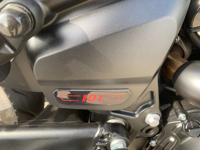 2025 Indian SCOUT 101 White