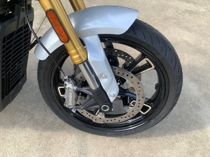 2025 Indian SCOUT 101 White