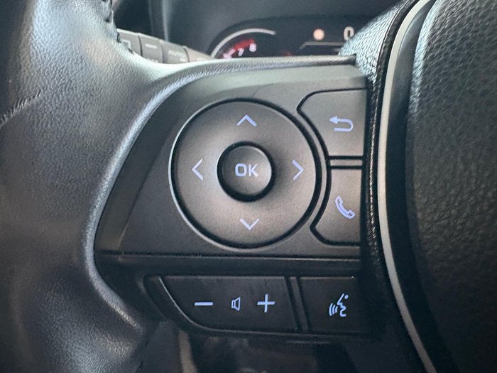 2019 Toyota RAV4 Cruiser