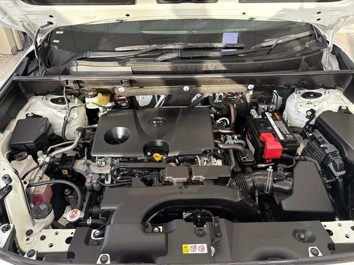 2019 Toyota RAV4 Cruiser
