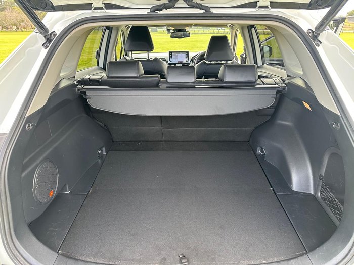 2019 Toyota RAV4 Cruiser