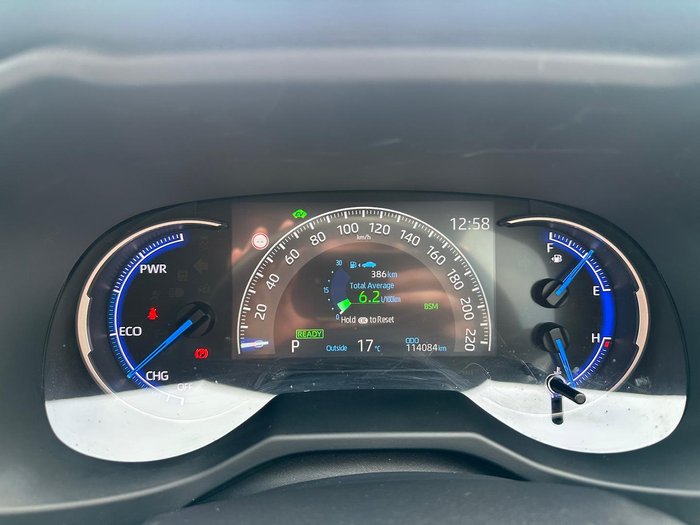 2019 Toyota RAV4 Cruiser