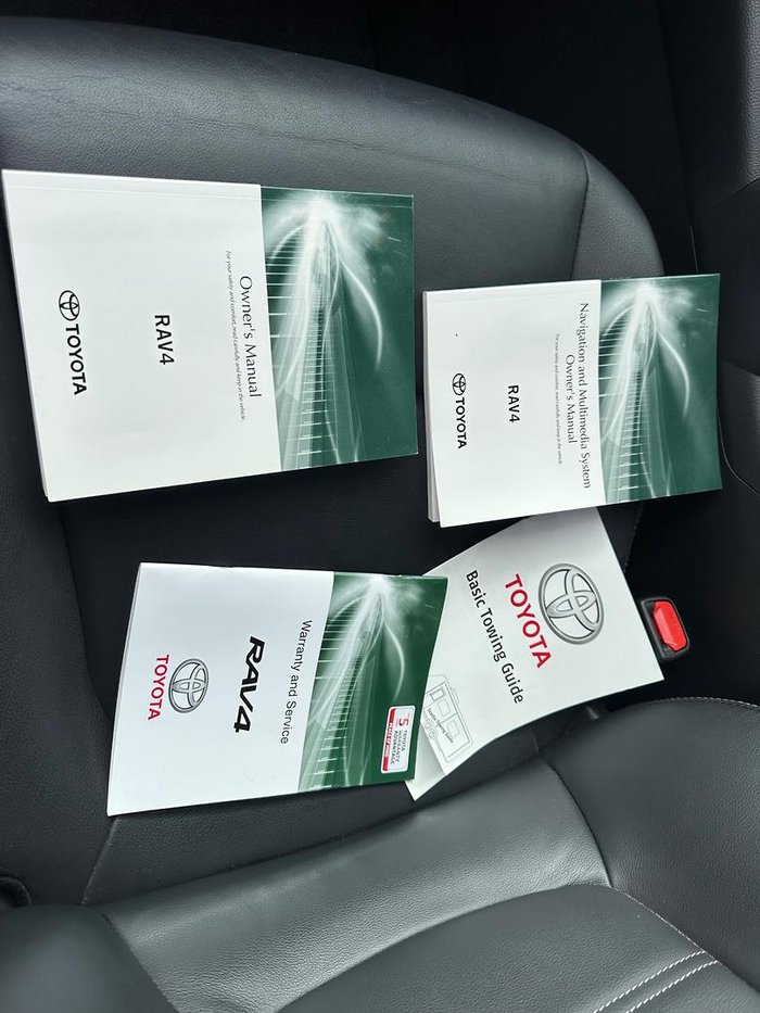 2019 Toyota RAV4 Cruiser